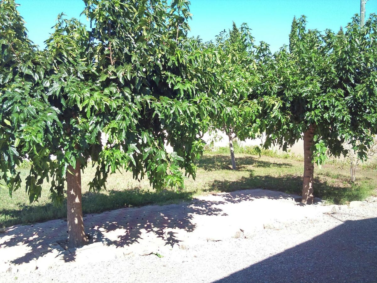 Holiday house Holiday Home in Argeliers near Sandy Beaches - Outdoor photo 5