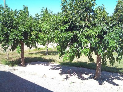 Holiday house Holiday Home in Argeliers near Sandy Beaches - Outdoor photo 4