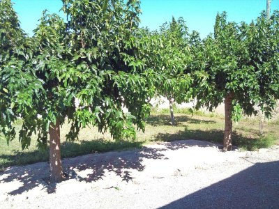 Holiday house Holiday Home in Argeliers near Sandy Beaches - Outdoor photo 5