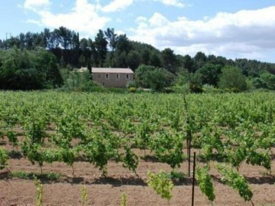 Holiday house Holiday Home in Argeliers near Sandy Beaches - Environment photo 36