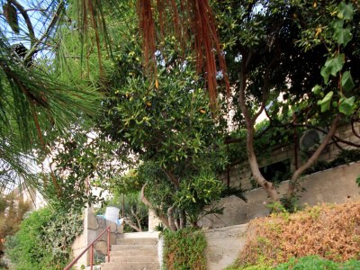 Apartment Two bedroom apartment near beach Zavalatica, Korčula A-189-b - Outdoor photo 8