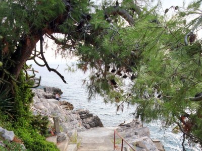 Apartment Two bedroom apartment near beach Zavalatica, Korčula A-189-b - Outdoor photo 11