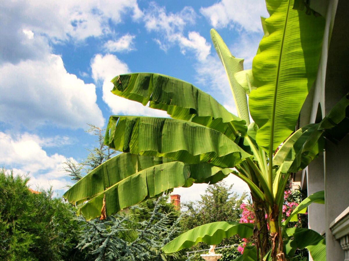 Apartment One bedroom apartment with terrace Novi Vinodolski A-2348-b - Outdoor photo 4