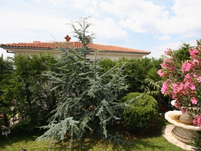 Apartment One bedroom apartment with terrace Novi Vinodolski A-2348-b - Outdoor photo 35