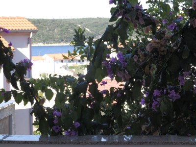 Apartment Two bedroom apartment with terrace and sea view Kampor, Rab A-12273-a - Outdoor photo 25