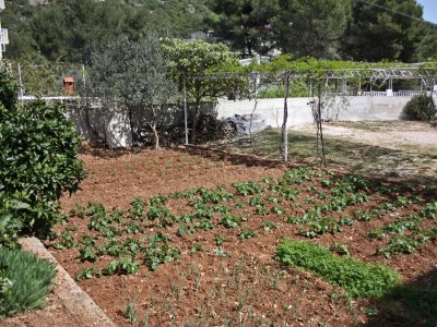 Apartment Three bedroom apartment with terrace and sea view Marina, Trogir A-6116-c - Outdoor photo 9