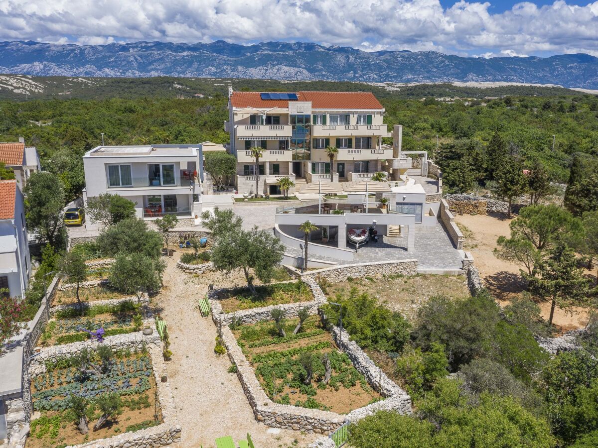 Apartment One bedroom apartment with terrace and sea view Novalja, Pag A-14274-b - Outdoor photo 3