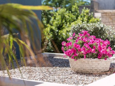 Apartment One bedroom apartment with terrace and sea view Novalja, Pag A-14274-b - Outdoor photo 23