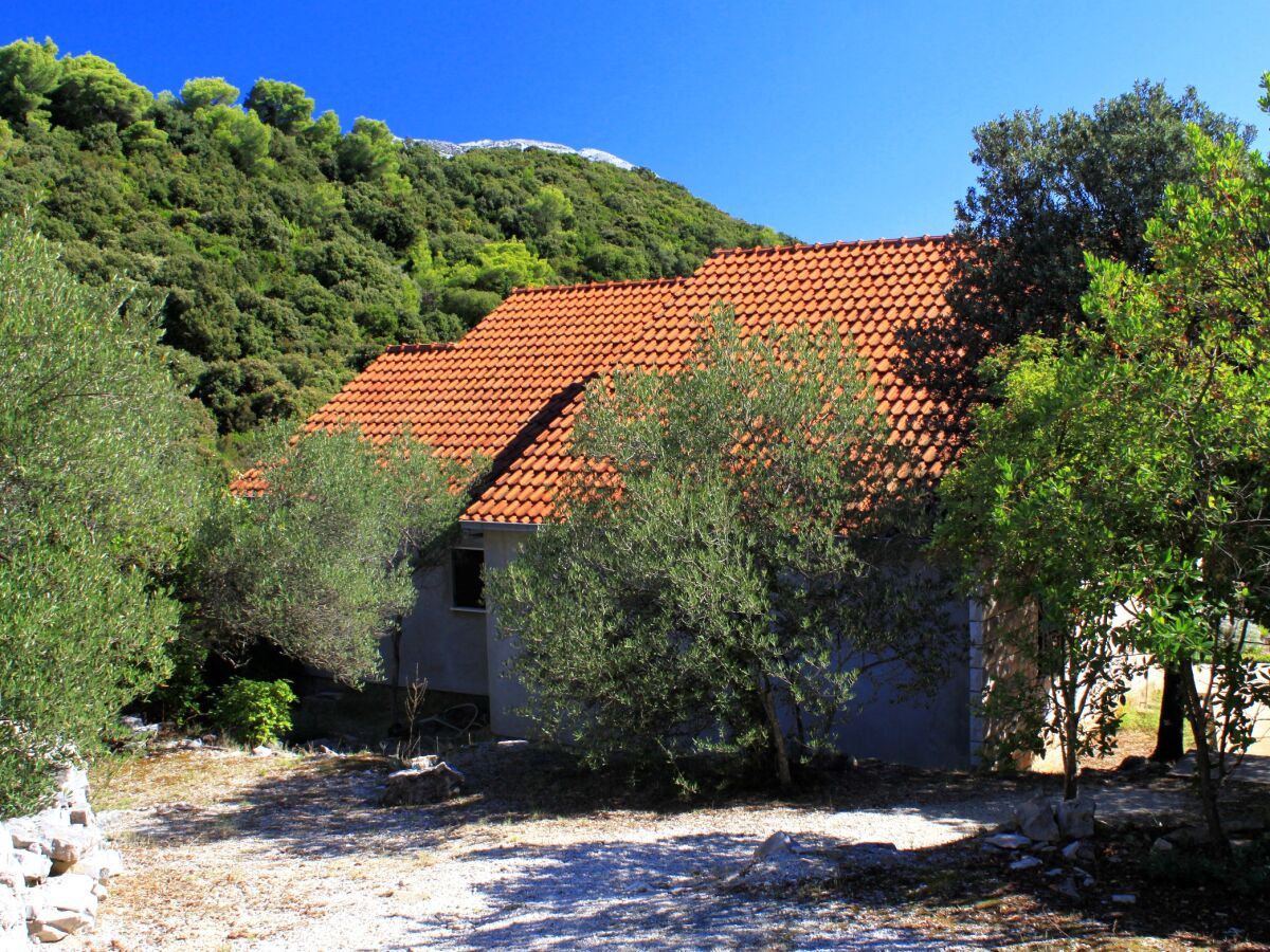 Holiday house Three bedroom house near beach Cove Vrbovica, Korčula K-9223 - Outdoor photo 5