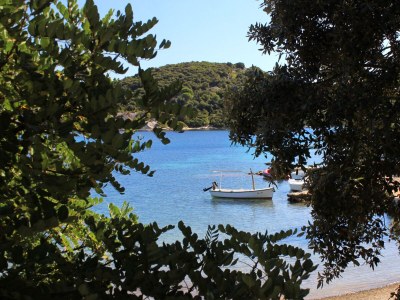 Holiday house Three bedroom house near beach Cove Vrbovica, Korčula K-9223 - Outdoor photo 32