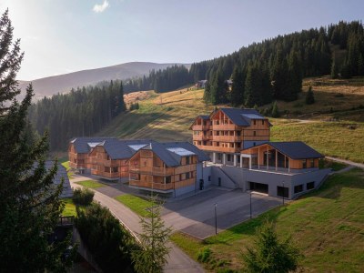 Apartment Ferienwohnung mit 3 Schlafzimmern & Sauna in Pusterwald - Apartment