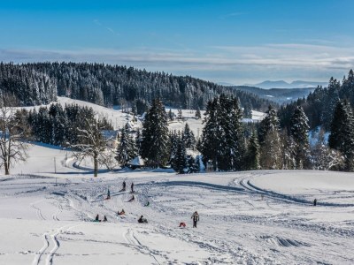 Apartment Haus Sonnenschein an der Skipiste - Environment photo 27