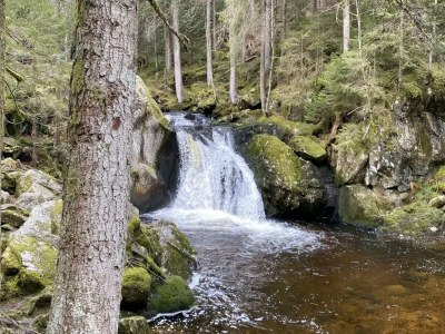 Apartment Haus Sonnenschein an der Skipiste - Environment photo 36