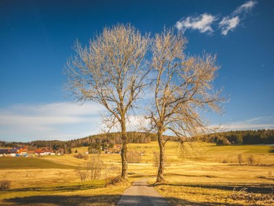 Apartment Haus Sonnenschein an der Skipiste - Environment photo 39