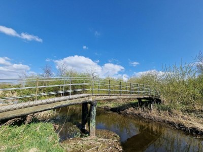 Apartment Dancenter Hotel Jomfru Ane Standard Double - Environment photo 31