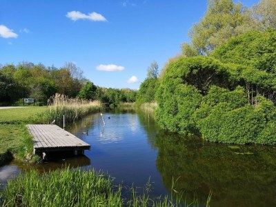 Apartment Dancenter Hotel Jomfru Ane Standard Double - Environment photo 33