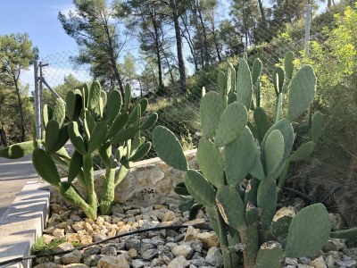 Villa Villa in Olivella with Private Pool & BBQ - Outdoor photo 14