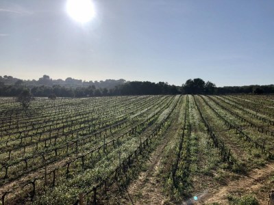 Villa Villa in Olivella with Private Pool & BBQ - Outdoor photo 17