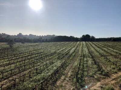 Villa Villa in Olivella with Private Pool & BBQ - Environment photo 32