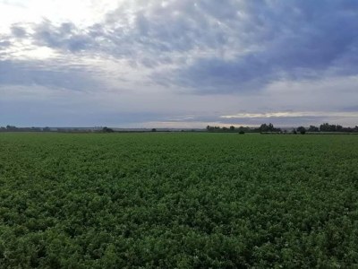 Chalet Chalet in Rivero de Posadas with Pool - Environment photo 15