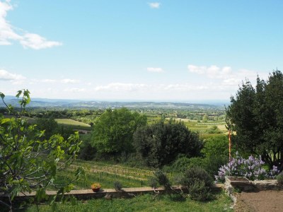 Holiday house Holiday Home in Provence near Mont Ventoux - Outdoor photo 5
