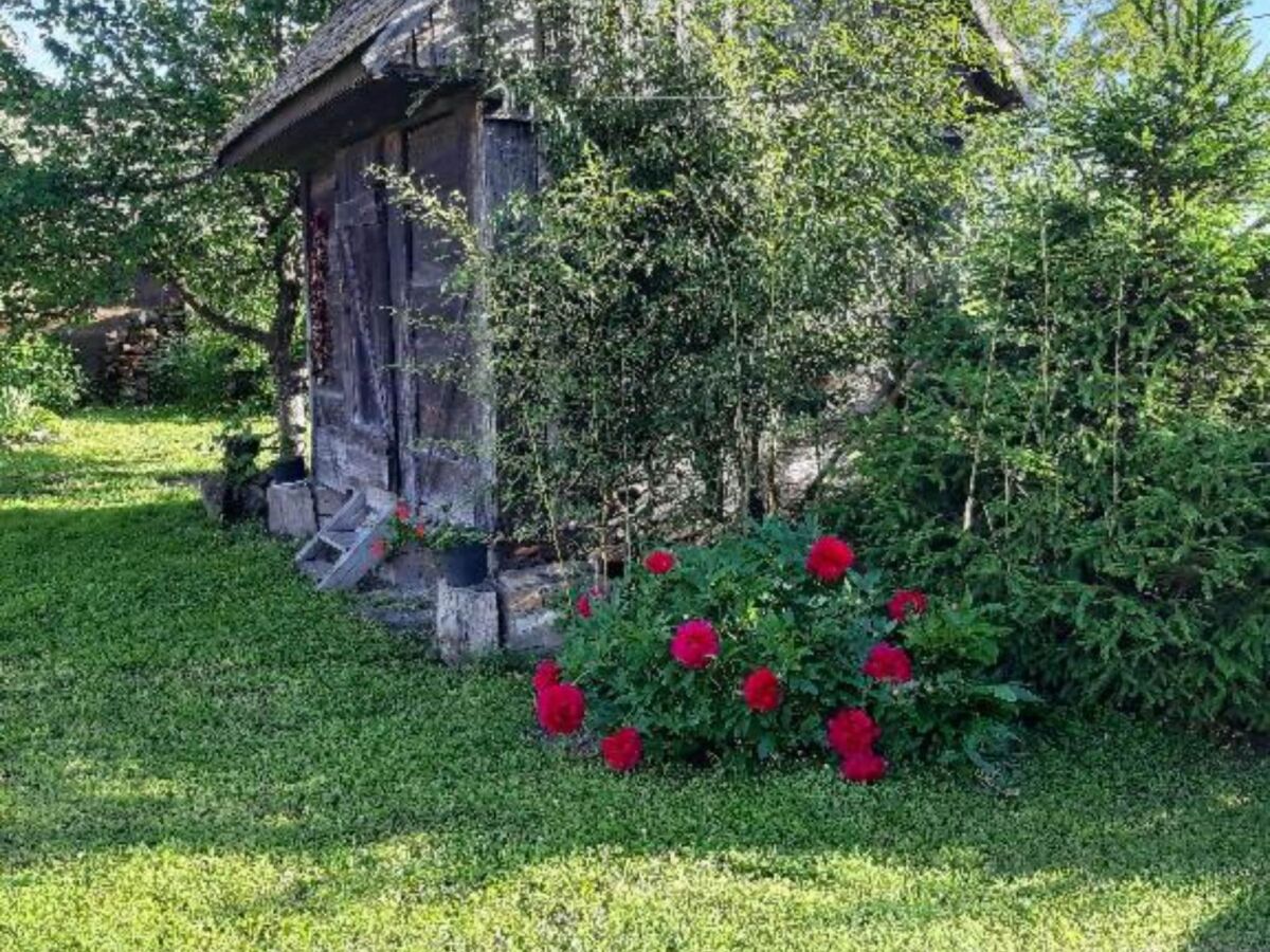 Apartment One Bedroom Apartment with Balcony