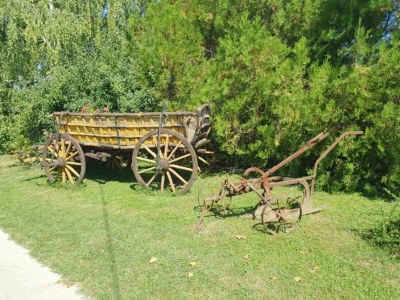 Apartment One Bedroom Apartment with Balcony - Outdoor photo 9