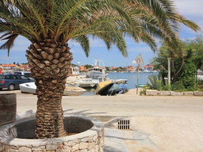 Apartment One bedroom apartment with terrace and sea view Kukljica, Ugljan A-8209-b - Outdoor photo 18