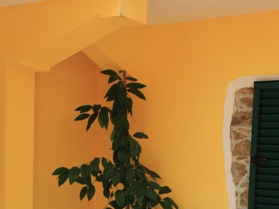 Apartment One bedroom apartment with terrace Kukljica, Ugljan A-8209-c - Outdoor photo 6