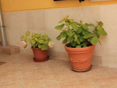 Apartment One bedroom apartment with terrace Kukljica, Ugljan A-8209-c - Outdoor photo 7