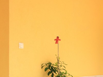 Apartment One bedroom apartment with terrace Kukljica, Ugljan A-8209-c - Outdoor photo 8