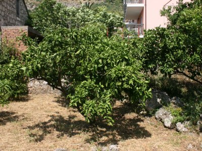 Apartment Studio flat with balcony Podaca, Makarska AS-6874-b - Outdoor photo 7