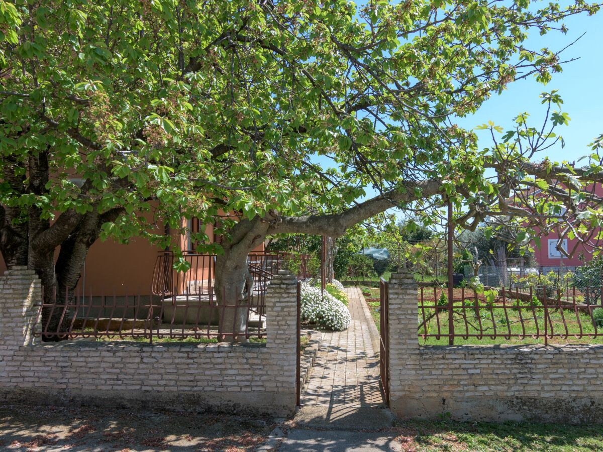 Apartment One bedroom apartment with air-conditioning Fažana A-20822-a - Outdoor photo 5