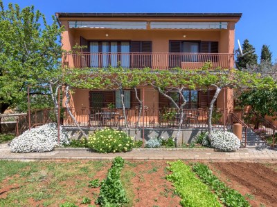 Apartment One bedroom apartment with air-conditioning Fažana A-20822-a - Outdoor photo 3