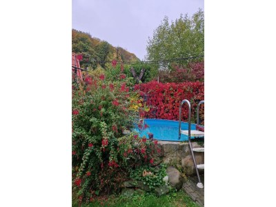 Apartment Gemütliches Ferienhaus mit Pool in Blankenburg - Outdoor photo 13