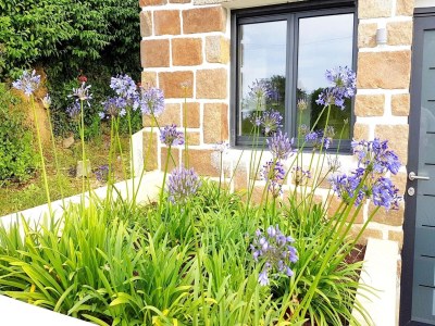 Holiday house Cottage in Plougasnou near Stunning Beaches - Outdoor photo 5