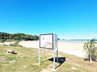 Holiday house Cottage in Plougasnou near Stunning Beaches - Environment photo 20