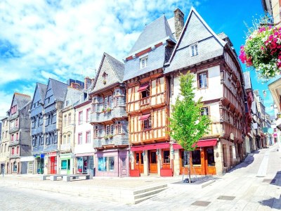 Holiday house Cottage in Plougasnou near Stunning Beaches - Environment photo 21