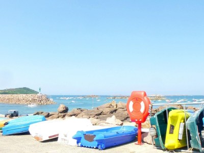 Holiday house Cottage in Plougasnou near Stunning Beaches - Environment photo 25