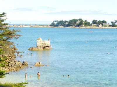 Holiday house Cottage in Plougasnou near Stunning Beaches - Environment photo 27