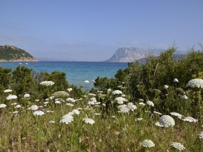 Apartment Ferienwohnung am Meer in der Nähe von Budoni - Environment photo 23