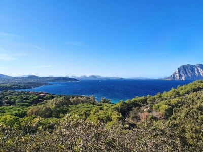 Apartment Ferienwohnung am Meer in der Nähe von Budoni - Environment photo 26