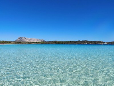 Apartment Cosy apartment by sea near Budoni - Environment photo 30