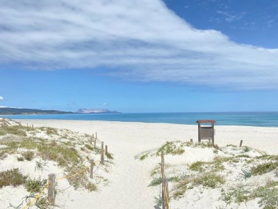 Apartment Cosy apartment by sea near Budoni - Environment photo 31