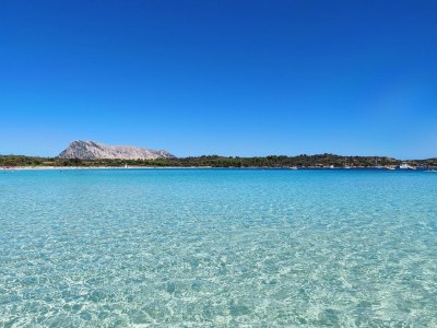Apartment Apartment mit Terrasse mit Meerblick - Environment photo 25