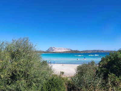 Apartment Apartment with Pool and Private Parking - Environment photo 28