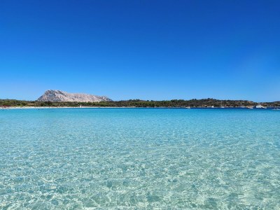 Apartment Apartment with Pool and Private Parking - Environment photo 31