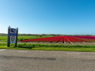 Apartment Ferienwohnung am Strand in Callantsoog - Environment photo 15