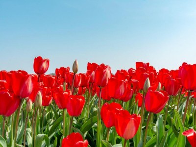 Apartment Apartment in Julianadorp aan Zee with terrace - Outdoor photo 23