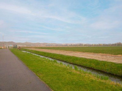Holiday house Spacious holiday home in Julianadorp - Environment photo 31